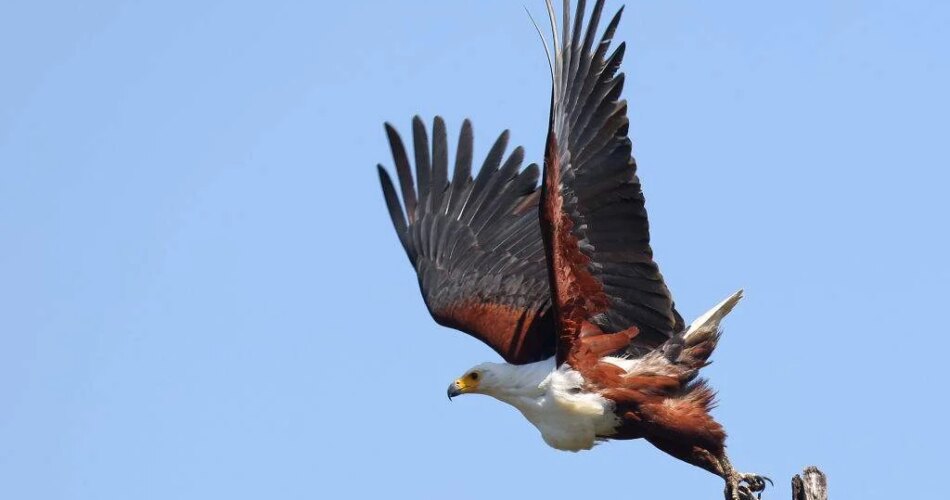 Act fast: BER finds SA could create 2.4 million new jobs by 2030 without any new planning