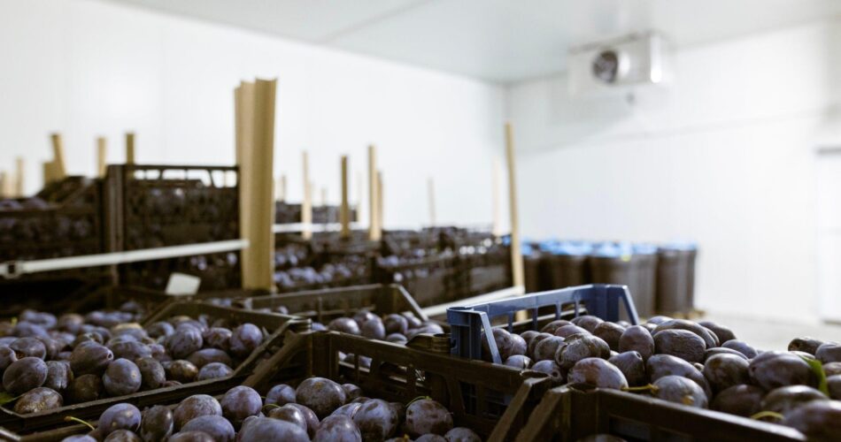 Africa's cold chain shortage persists despite increasing investment