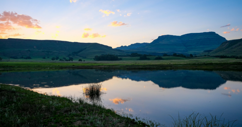 Bridging Africa's transition finance gap