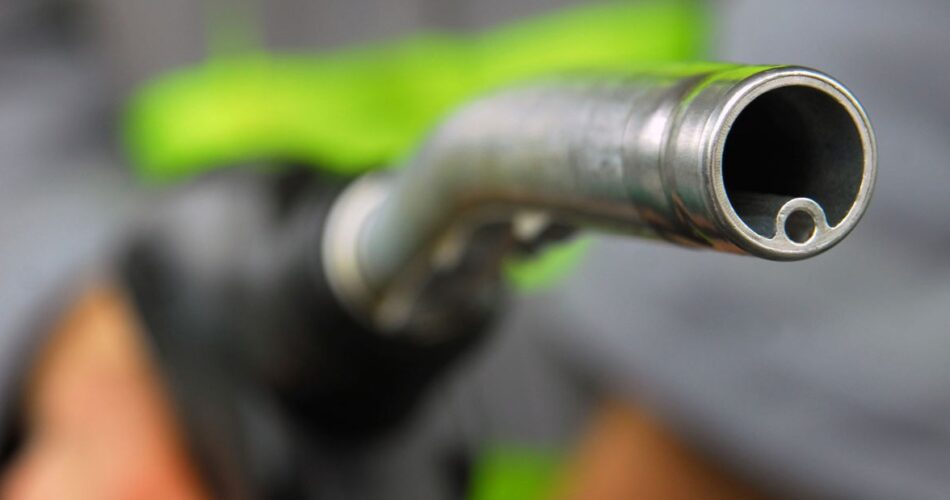 South Africa: No national fuel shortage despite diesel limits - South African News Briefs - March 30, 2026