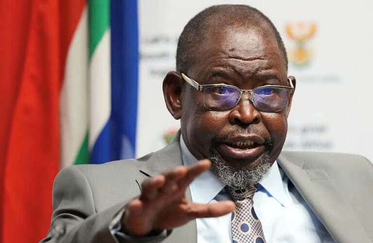 South Africa announces one-month cut in fuel levy to limit pump price rises