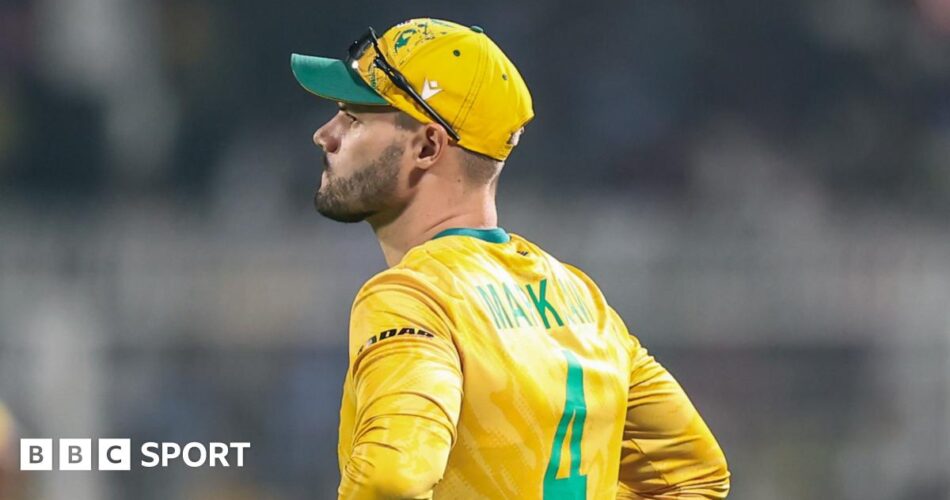 South Africa's lower order surges but New Zealand remains on top