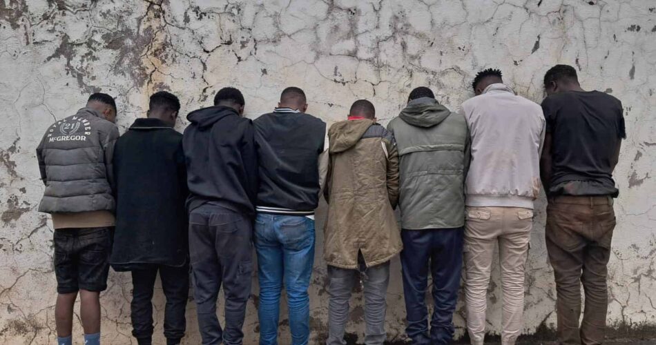 18 undocumented foreign nationals arrested for illegal mining in Mpumalanga