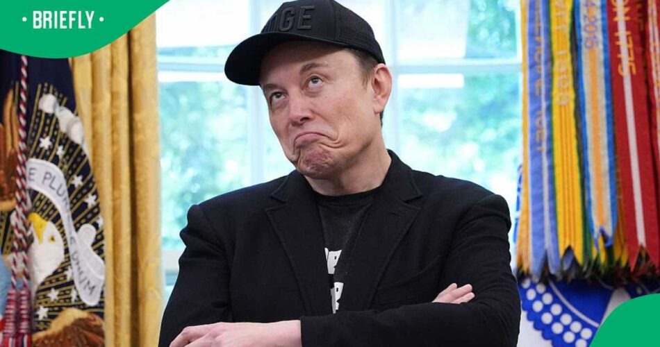 3 times Elon Musk criticized the South African government and 3 clapbacks