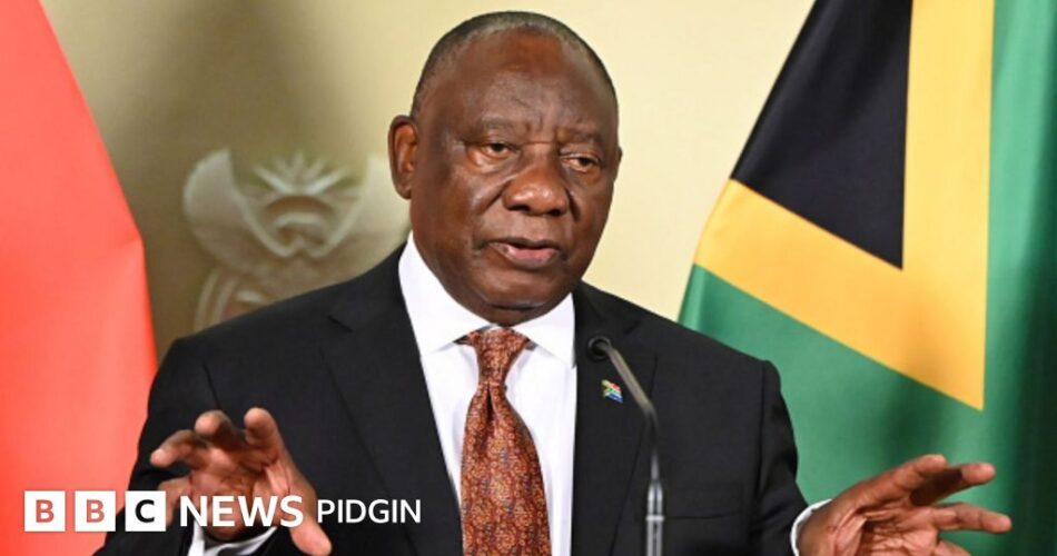'Not allowing concerns of illegal migration breeds hatred towards fellow Africans' - Cyril Ramaphosa