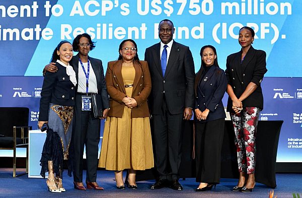 Africa Finance Corporation (AFC) and the Development Bank of Southern Africa (DBSA) are partnering to climate-proof Africa's infrastructure through the Infrastructure Climate-Resilient Fund (ICRF) managed by AFC Capital Partners.