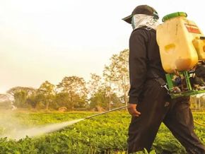 Africa's agrochemical market set to reach $15 billion by 2031 due to climate change and rising food demand