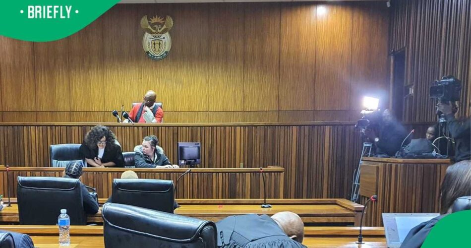 Compensation in road accident fund should also include undocumented foreigners, Supreme Court confirms