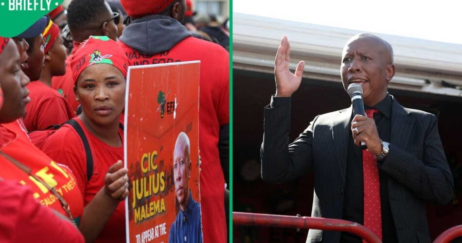 EFF legal team files complaint against prosecutor in Julius Malema case, SA debates decision