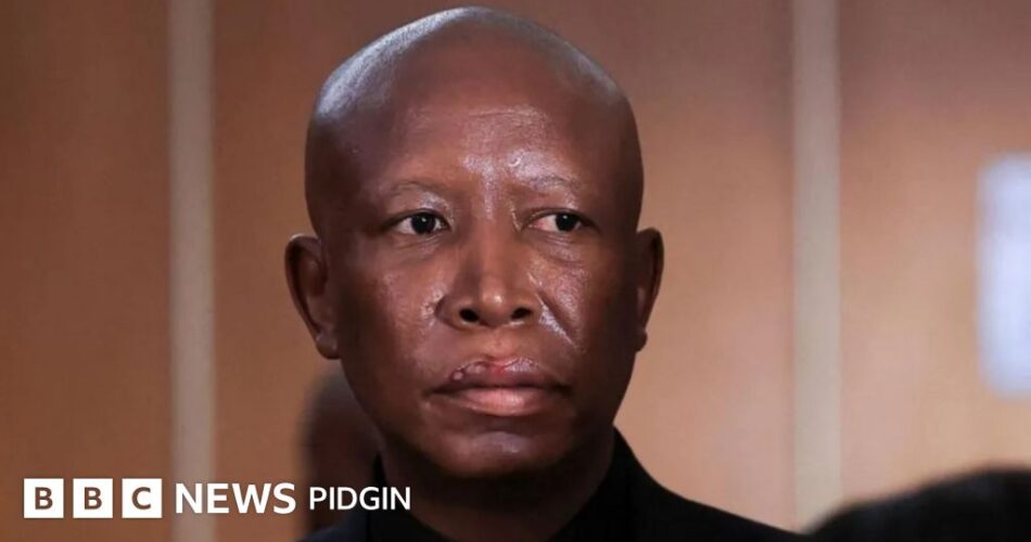 Julius Malema sentenced to five years in prison for illegal gun possession