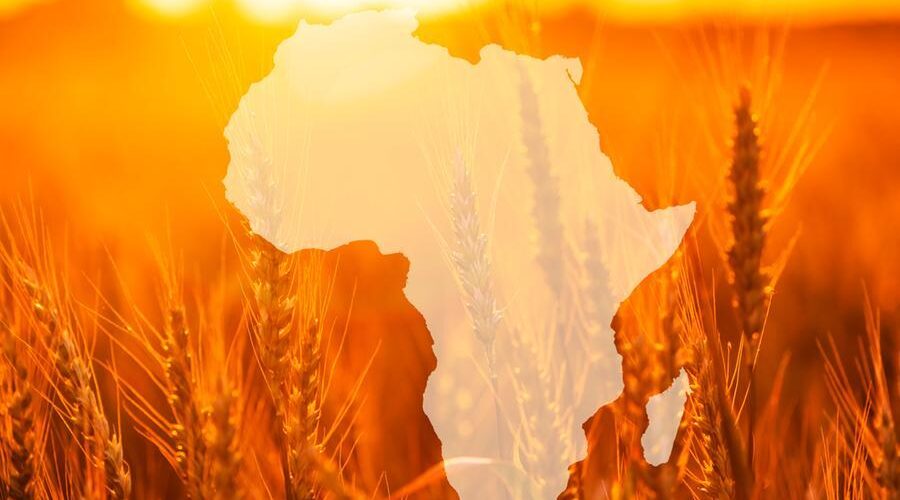 Leading brands bet big on $88 billion global market and Africa's $1 trillion food sector