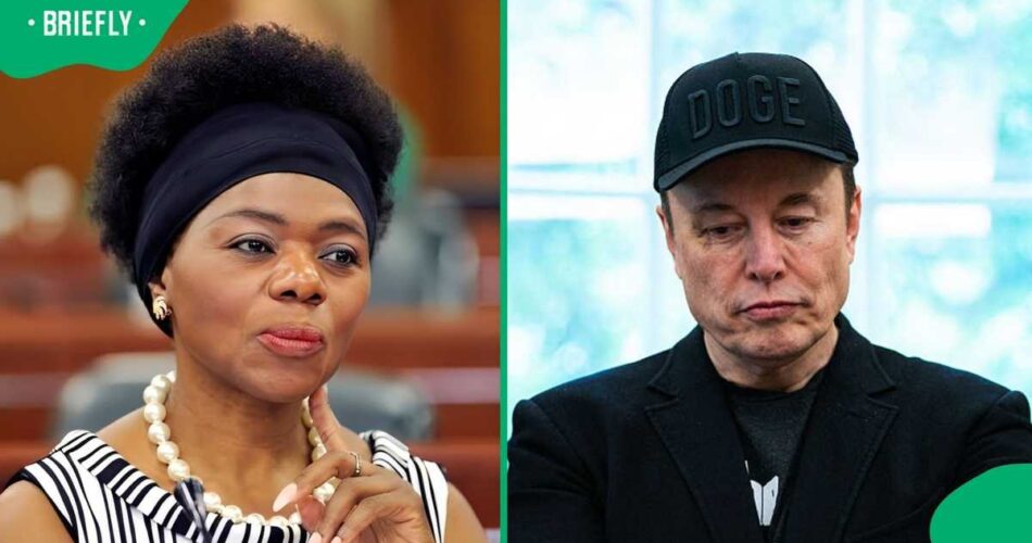 Professor Thuli Madonsela hits back after Elon Musk accuses South Africa of imposing racist laws