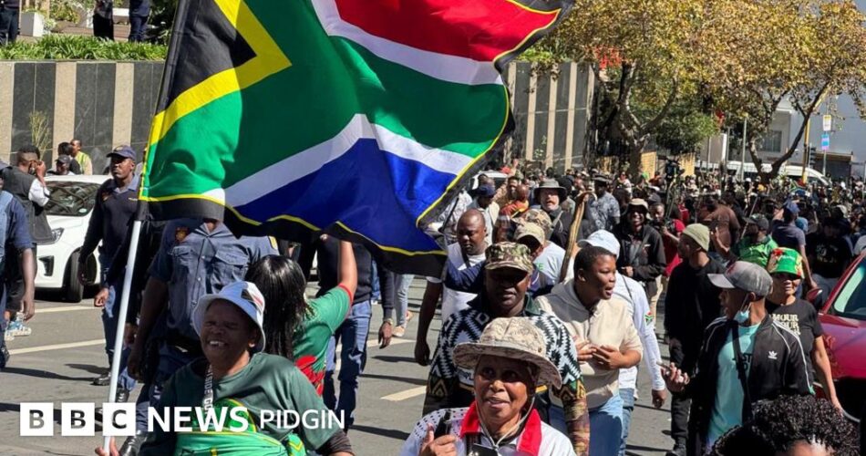 Protests in South Africa: 'Nigerian students cannot go to school, business owners cannot open shops' - Nigerian government tells OVA