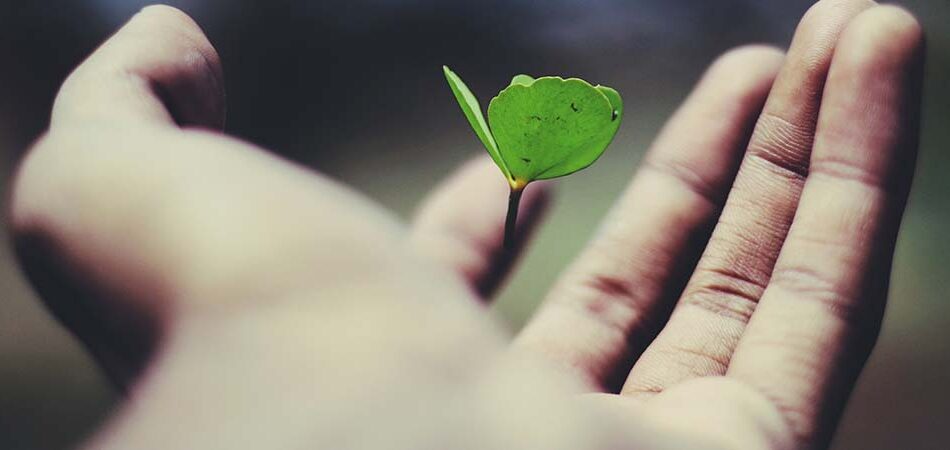 SA's economic recovery remains fragile