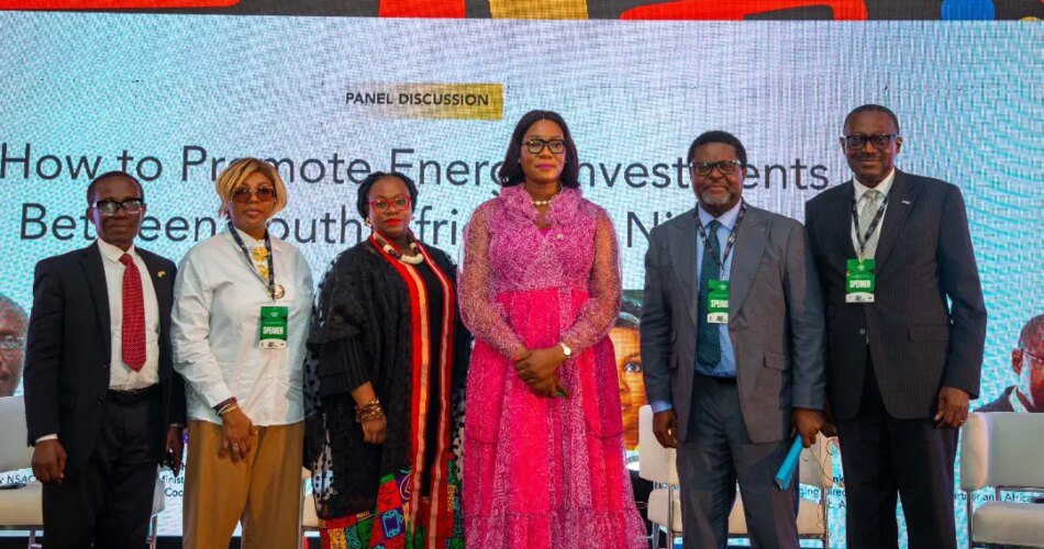 South Africa, Nigeria must deepen renewable energy ties to secure Africa's future