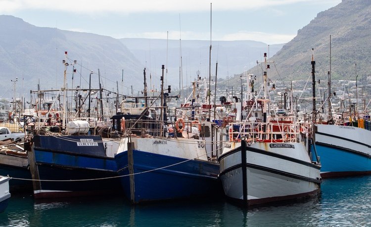 South Africa: The mystery of the Chinese trawlers arrested at sea