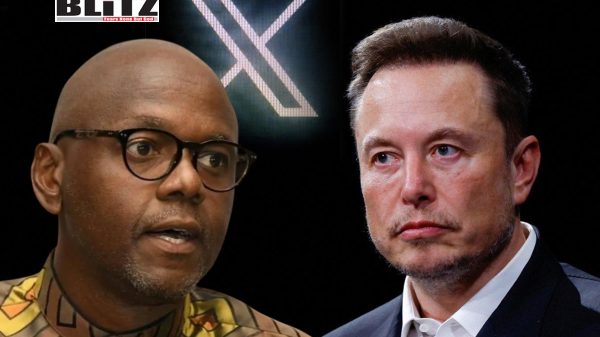 South Africa criticizes Elon Musk over "misinformation" and legal disregard