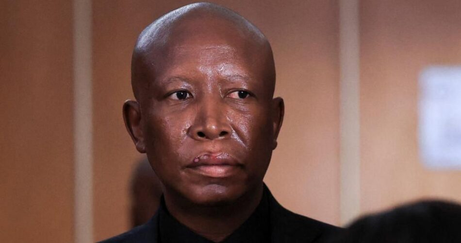 South African court sentences opposition leader Malema to 5 years in prison