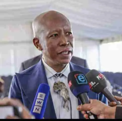 South African opposition leader Julius Malema jailed for five years for illegal firearms possession and shooting