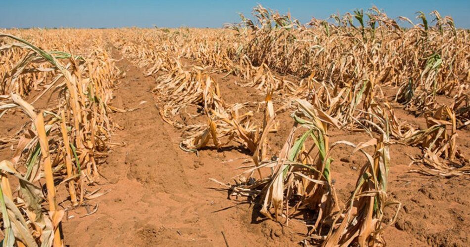 African Risk Capacity to pay insurance to drought-hit southern African farmers