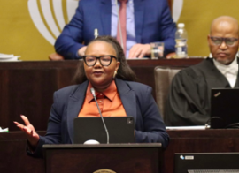 Basic education budget gives priority to elementary education, literacy and school reforms