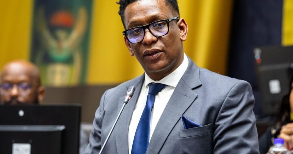 Clash between parliamentary committee and USF CEO over employment of foreign academics in higher education