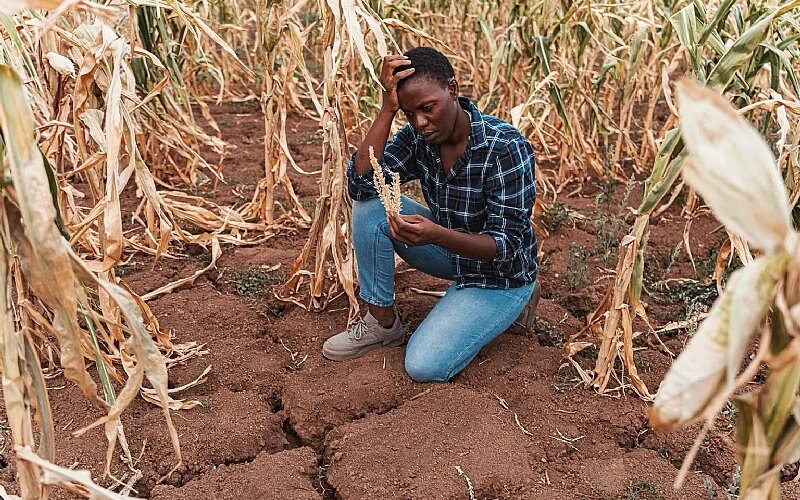 Extreme heat in southern Africa is a growing threat to health, jobs and food security – study seeks practical solutions
