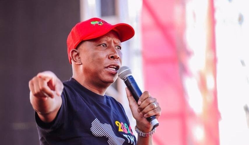 How many jobs have you created?' -Julius Malema challenges xenophobic attacks