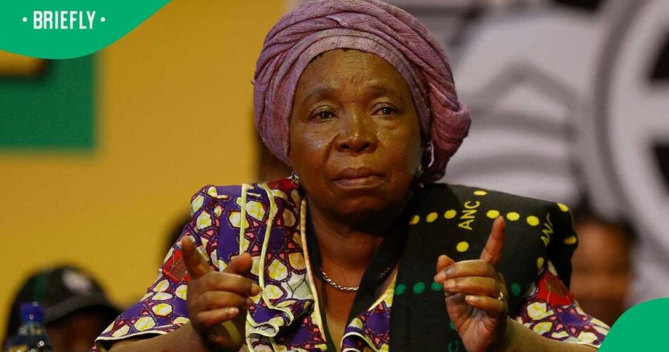Nkosazana Dlamini-Zuma: South Africa's unemployment crisis due to lack of technical skills