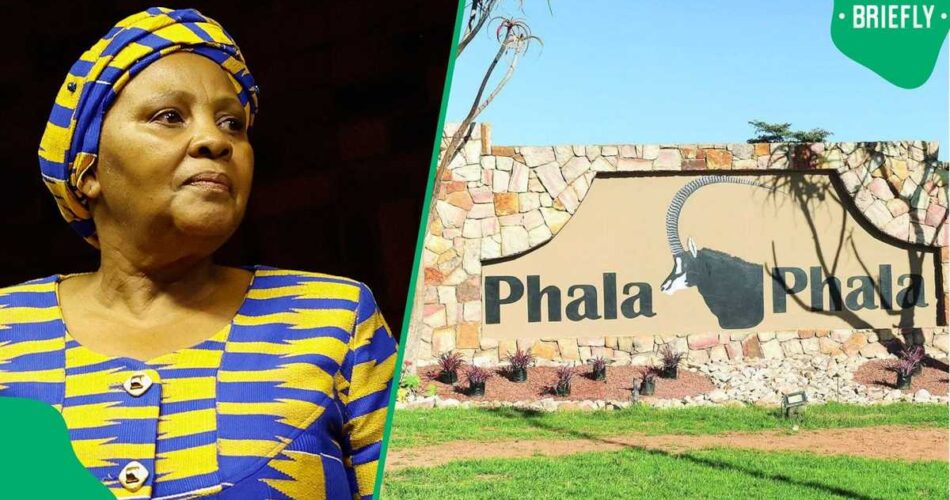 Nosiviwe Mapisa-Nqakula claims ANC MPs were ordered to reject Phala Phala report, SA hits back