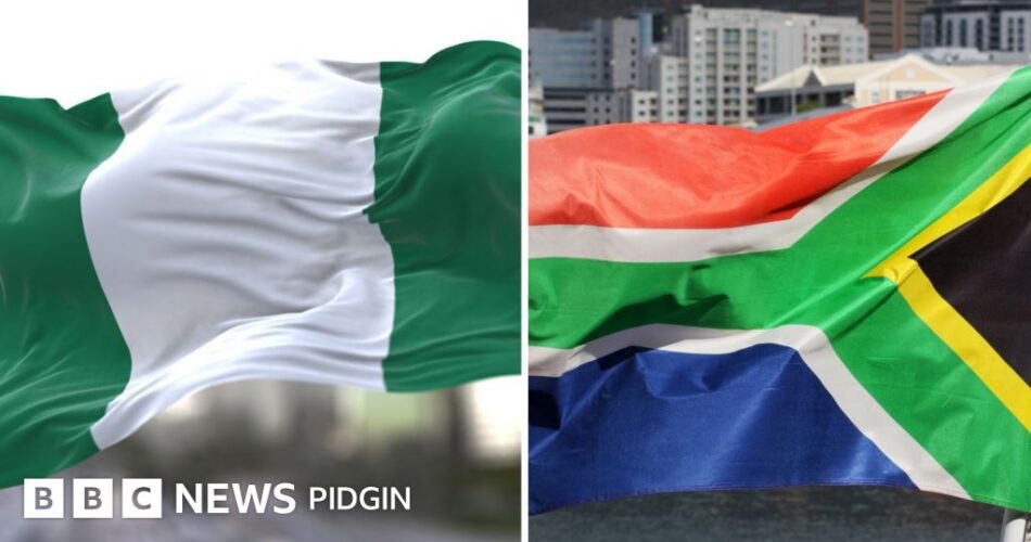 Protests in South Africa: Nigeria summons South Africa's acting high commissioner due to xenophobic attacks
