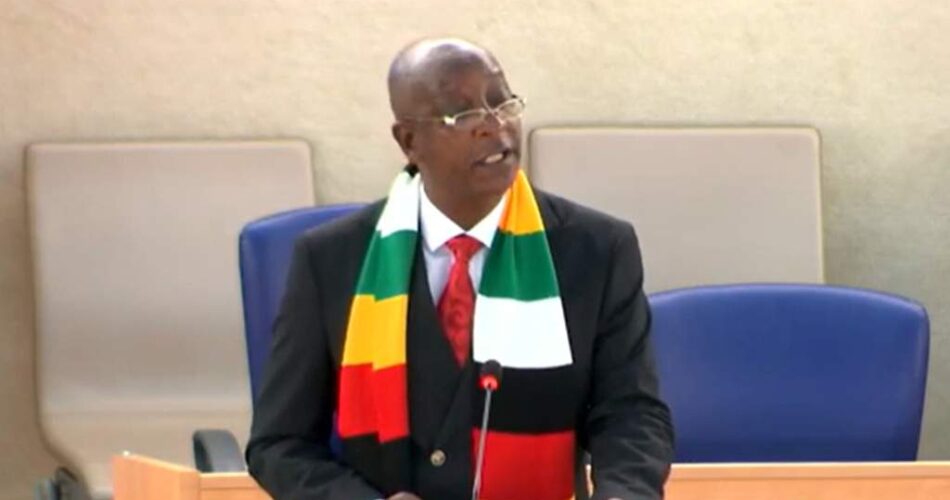 Zimbabwe tells citizens facing xenophobia in South Africa to return home for jobs