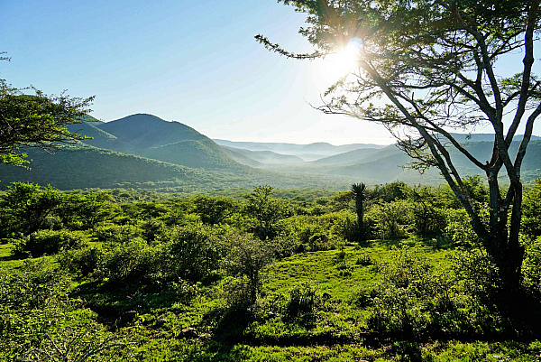 13,000 hectare Wild Coast conservation property in the Eastern Cape comes on the market