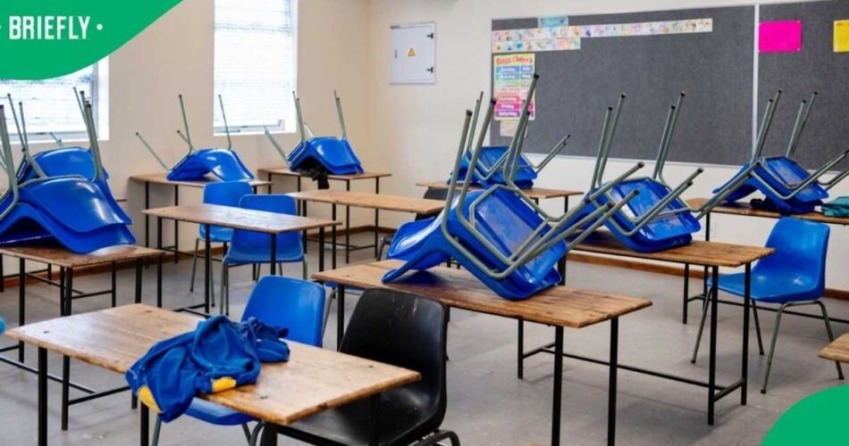 300 undocumented children found enrolled in a South African school, sparking outrage