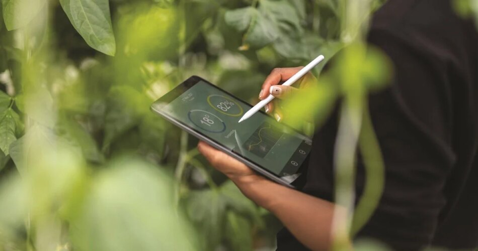 AI platform targets Africa's $65 billion smallholder finance gap