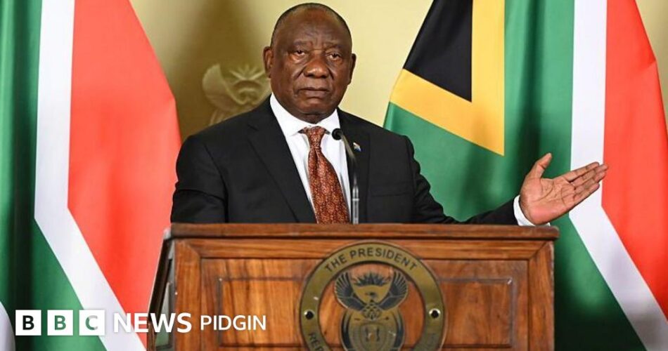 Cyril Ramaphosa State of the Nation Address: Highlights of South African President's State of the Nation Address on Illegal Migration by Foreign Nationals