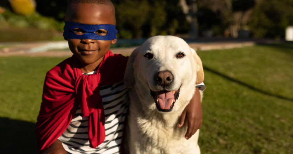 Free pet insurance launched in South Africa