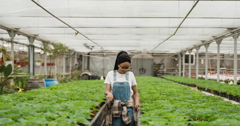 Nedbank and Mercedes-Benz support young green entrepreneurs in Africa