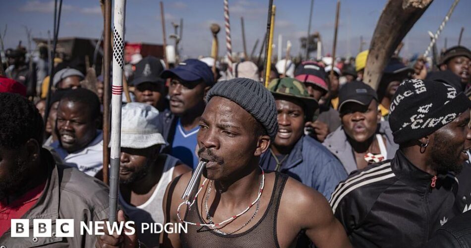 Protests in South Africa against foreigners: Nigeria joins list of African countries to expel citizens from South Africa due to anti-immigration protests
