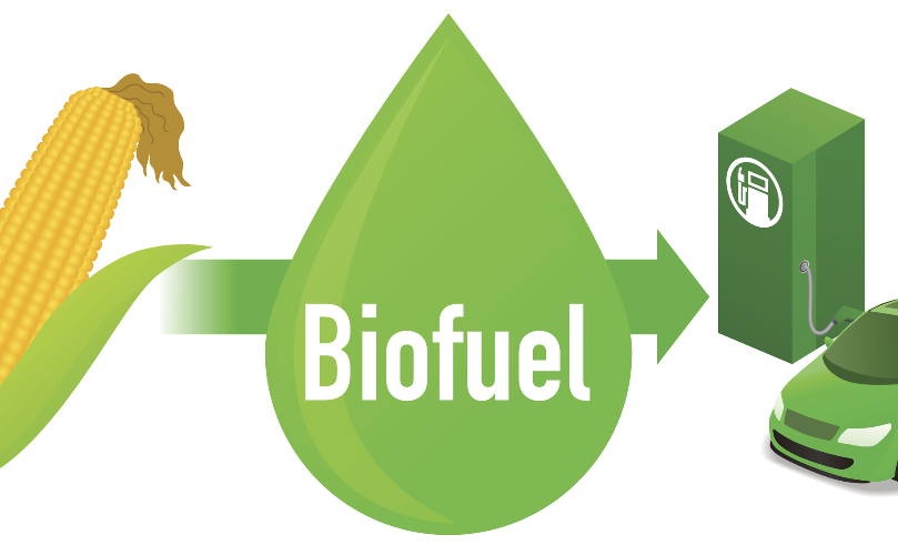 South Africa considering bioethanol for energy security - World