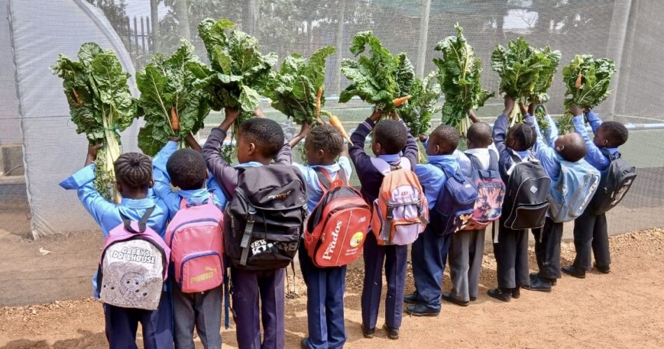 Young South Africans adopt sustainable agriculture for food security