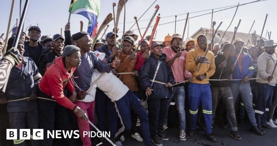 Anti-immigration protests in South Africa: How anti-immigrant protests affect supported businesses