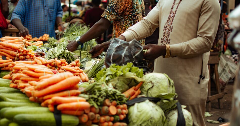 Climate shocks are impacting South Africa's food businesses—study reveals what they need to adapt