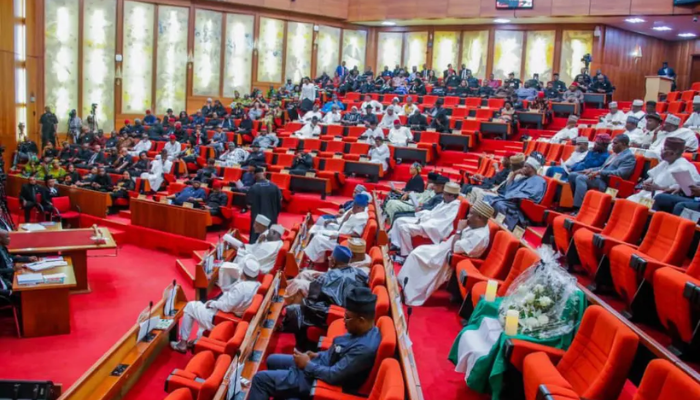 Xenophobia: Senate rejects calls to seize South African companies, insists on diplomatic accountability